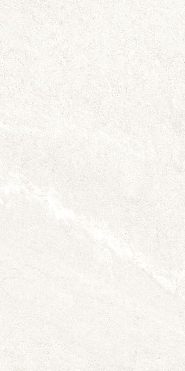 Dhara White Matte 12 x 24